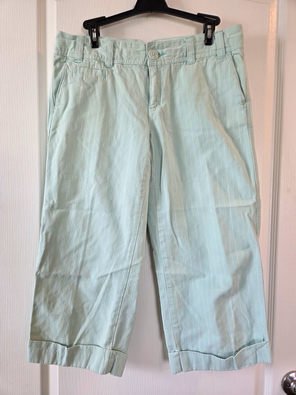 American Eagle Outfitters Mint Green Low-rise Wide Leg Pants